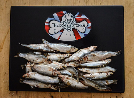 SPRATS-1.jpg