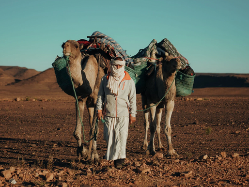 sahara marocain
