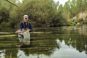 Pêche à la mouche Espagne, catalogne, Léon