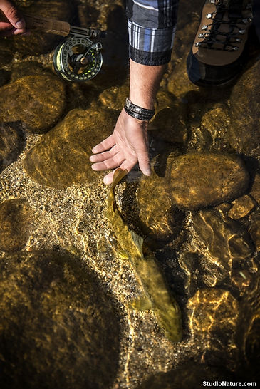 Guide de pêche en ardèche voyage de pêche au Chili 
