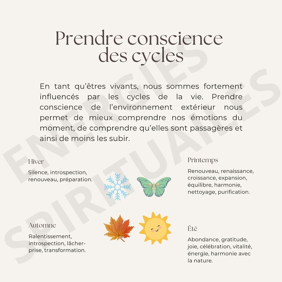 Miniature : Journal de transformation - Livre numérique