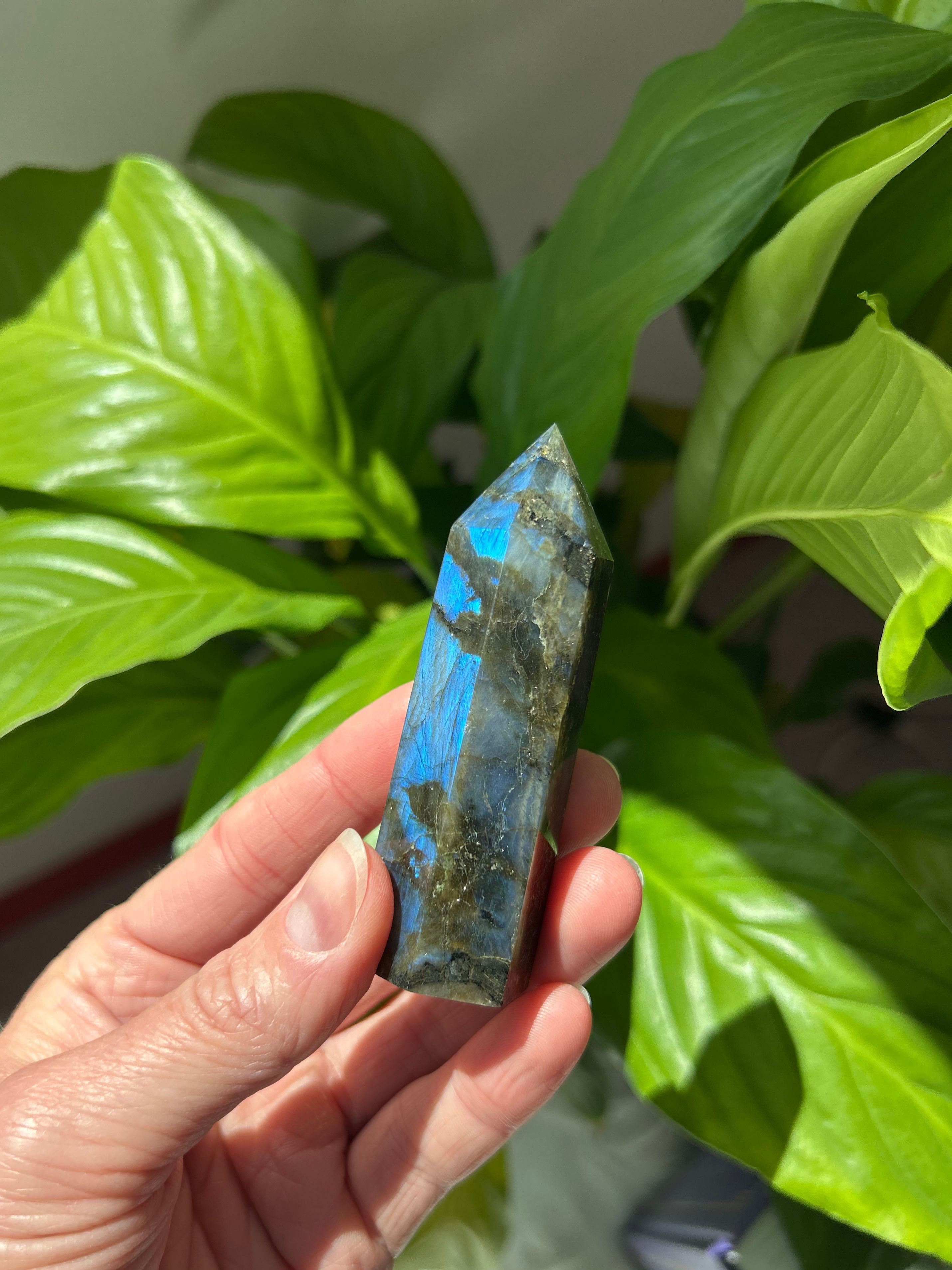 Pointe de Labradorite