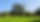 orchard-meadow-5485.jpg
