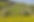 nature-3350353.jpg