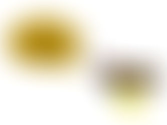 Brillos nocturnos: observación de luciérnagas