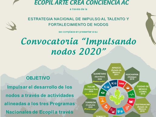Ecopil impulsa sus Nodos por medio de una convocatoria interna.