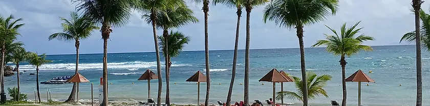 2000_6765a7dbe9a82.webp