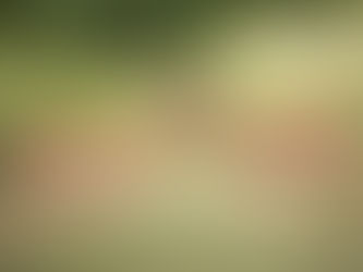 Gehört Streiten zu unserer Natur?