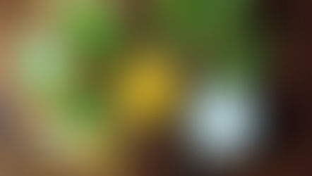 Vegan – ein anderer Blick auf die Ernährung