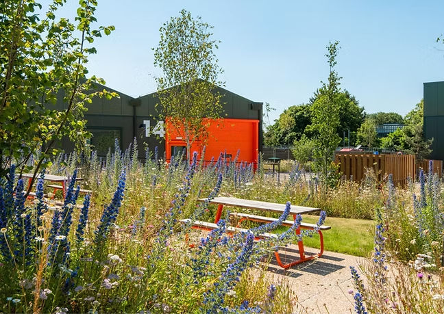 Green buildings with number 14, outdoor picnic tables, and wildflowers.
