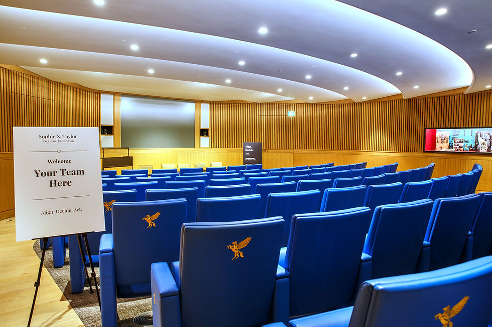Auditorium with blue seating for an Executive Workshop.