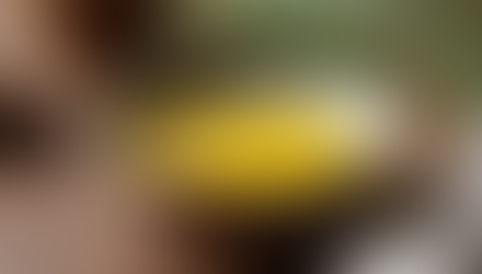 Effective Home Remedies for Plaque Removal: Natural Plaque Removal Tips