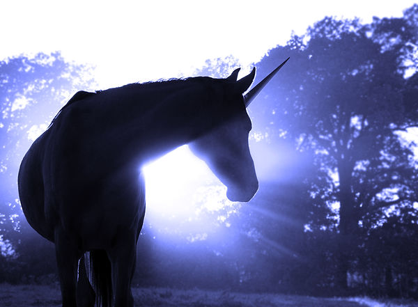 AdobeStock_125015605.jpeg