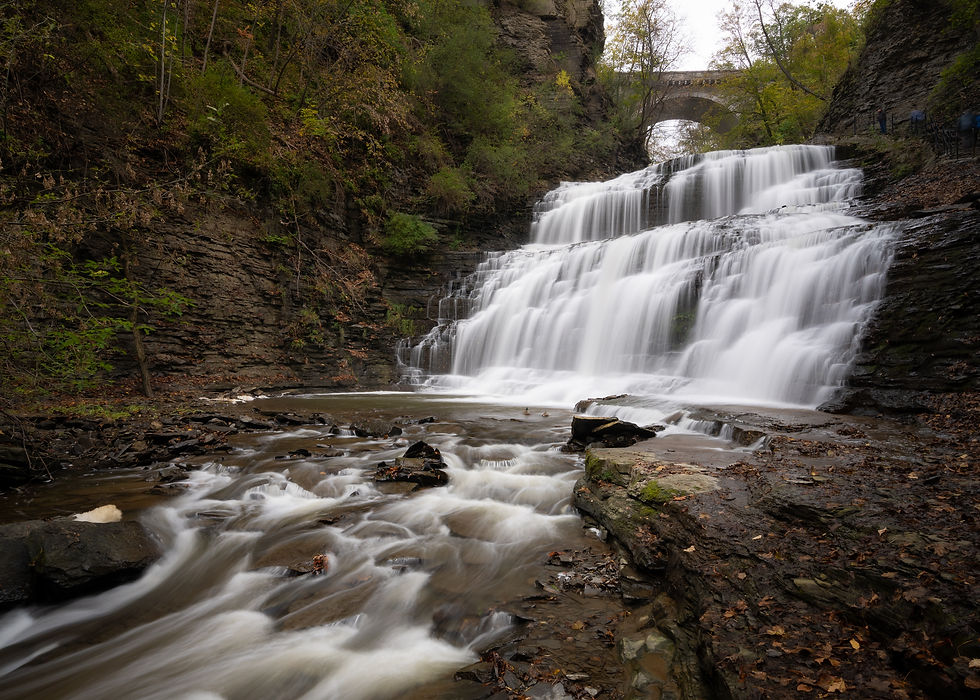 5x7 Print with White Border