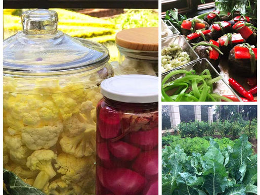 Fresh Cauliflower and Aubergine Pickles