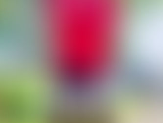 2 Miles Of Demon Slaying Complete 😮‍💨