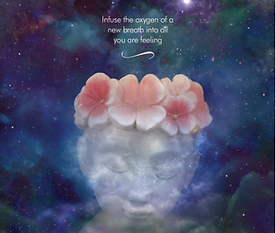 Screenshot 2026-01-06 at 5.25.46 pm.png