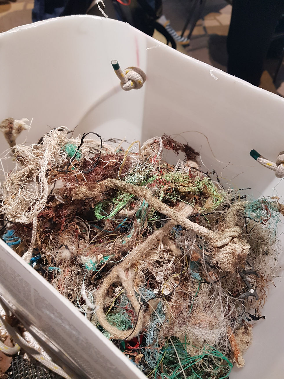 Des déchets à trier