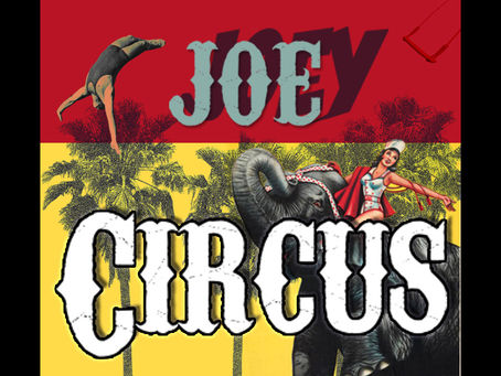 Joey Circus