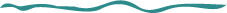 Text Divider Line_edited.png