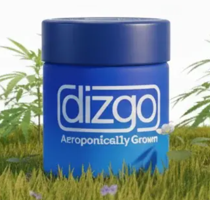 Mendota Heights Vendor Day: Dizgo
