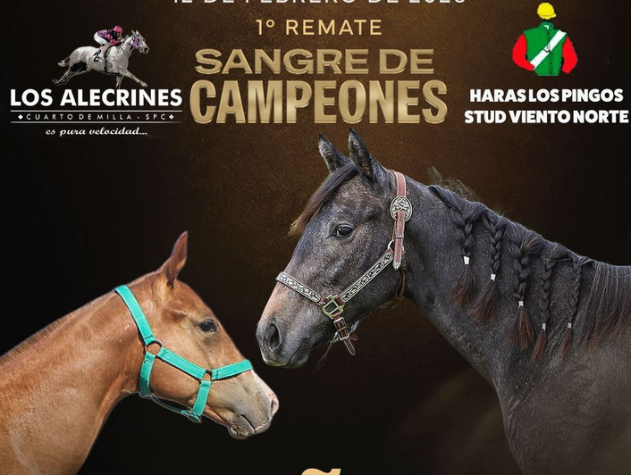 Remate “Sangre de Campeones” de caballos PSC marcó un hito en Artigas