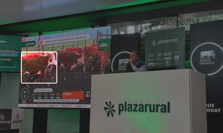  Plaza Rural reafirma solidez del mercado con precios altos y demanda sostenida