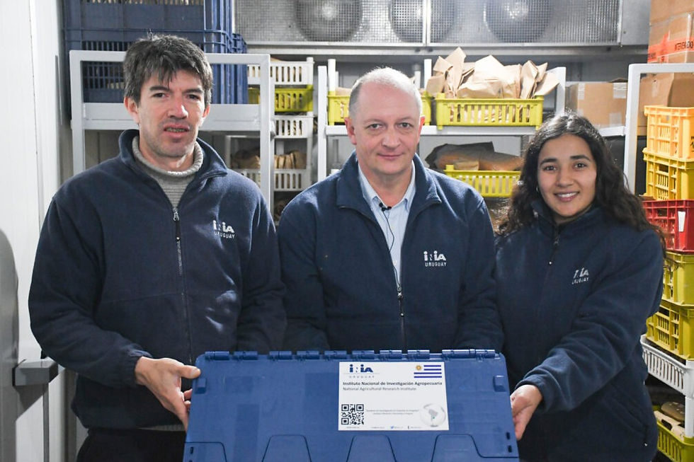  Uruguay abre su tesoro genético al mundo: INIA integra su Banco de Germoplasma a Genesys