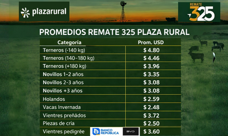 Ganadería en apogeo: Remate 325 de Plaza Rural con  precios en ascenso y señales de solidez