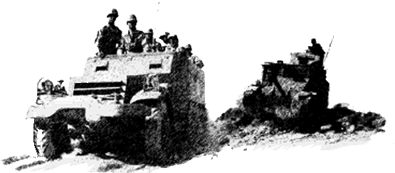 Combat Paths Armored Divisions M3 Halftrack M3 Lee North Africa Operation Torch