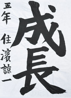 【産経新聞厚生文化事業団賞】
