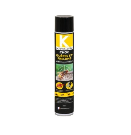 AEROSOL KARSAN FRELON 750ML - Tarif TTC