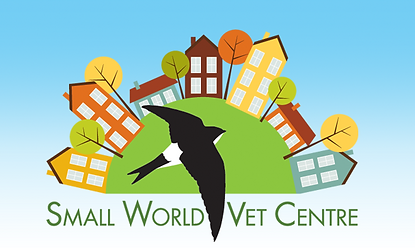 logo 2.png