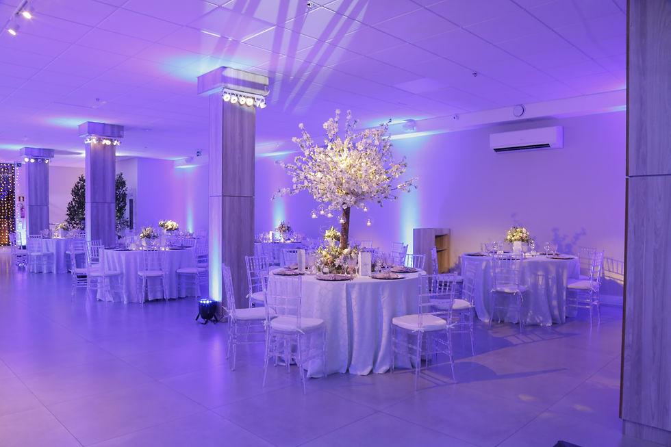 15 anos da Lorena (3)