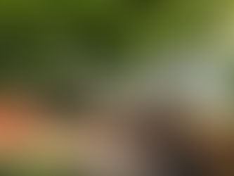 【参加者募集!】いじり隊9月2日(土)・3日(日)&マーマーなシェア畑7期生・秋&ぶどう狩り@三鷹オーガニック農園さん