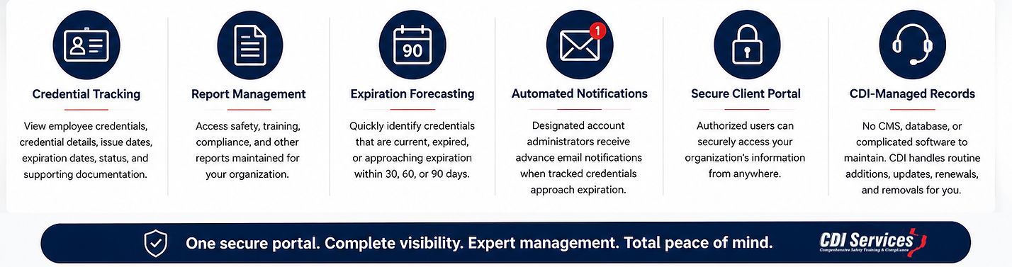 CDI Safety Hub Infographic