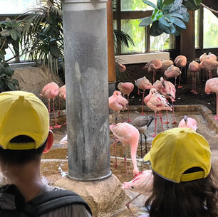 Zoobesuch der 1. Klassen