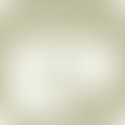 A Journey Through Evolution Records (2019)