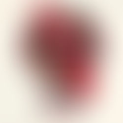 Marc Acardipane @ Defqon.1 Festival 2015 Black