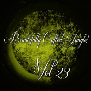 Beautifully Crafted Vol. 23 - DJ Rikochet (2018)