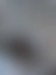 Hampton Inn Houston Downtown