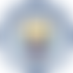 Top 4 Premier League Predictions - Who will win the Premier League in 2024?