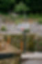DSC00055.jpg