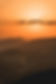 DSC00319.JPG