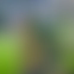 Meeting with STC Leaders