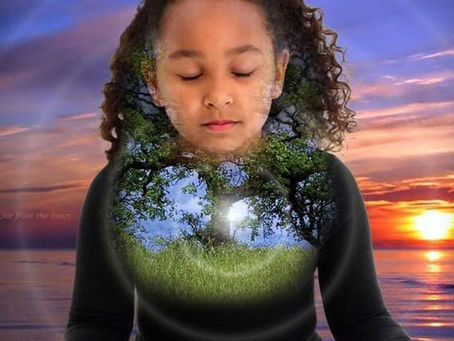 Heredity in a multidimensional understanding