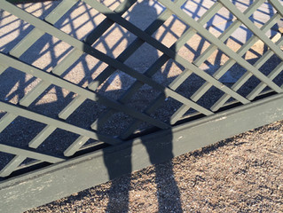 Et liv i flere dimensioner