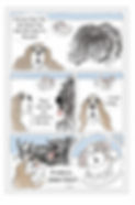 Shih Zoo Finished.jpg
