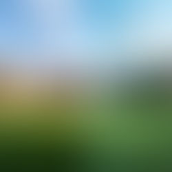 When Pictures Lie: AI Images, Cyberbullying, and What Parents and Teachers Need to Know