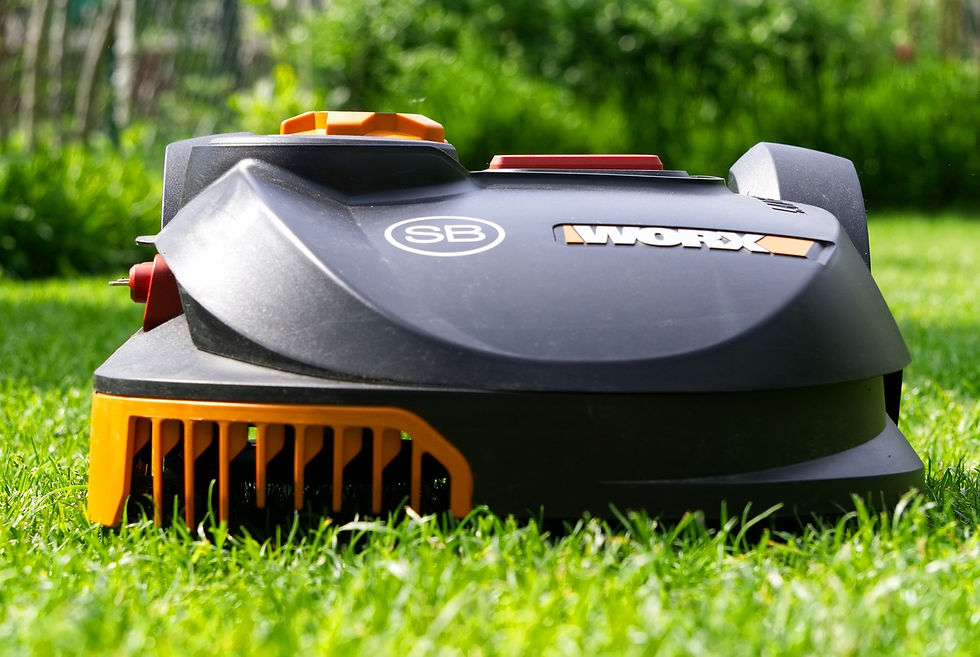 A. I. Lawn mower.